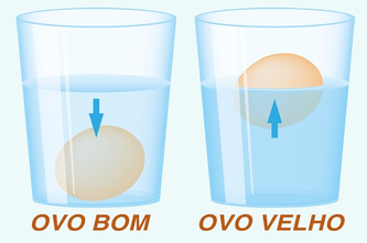 Teste do Ovo