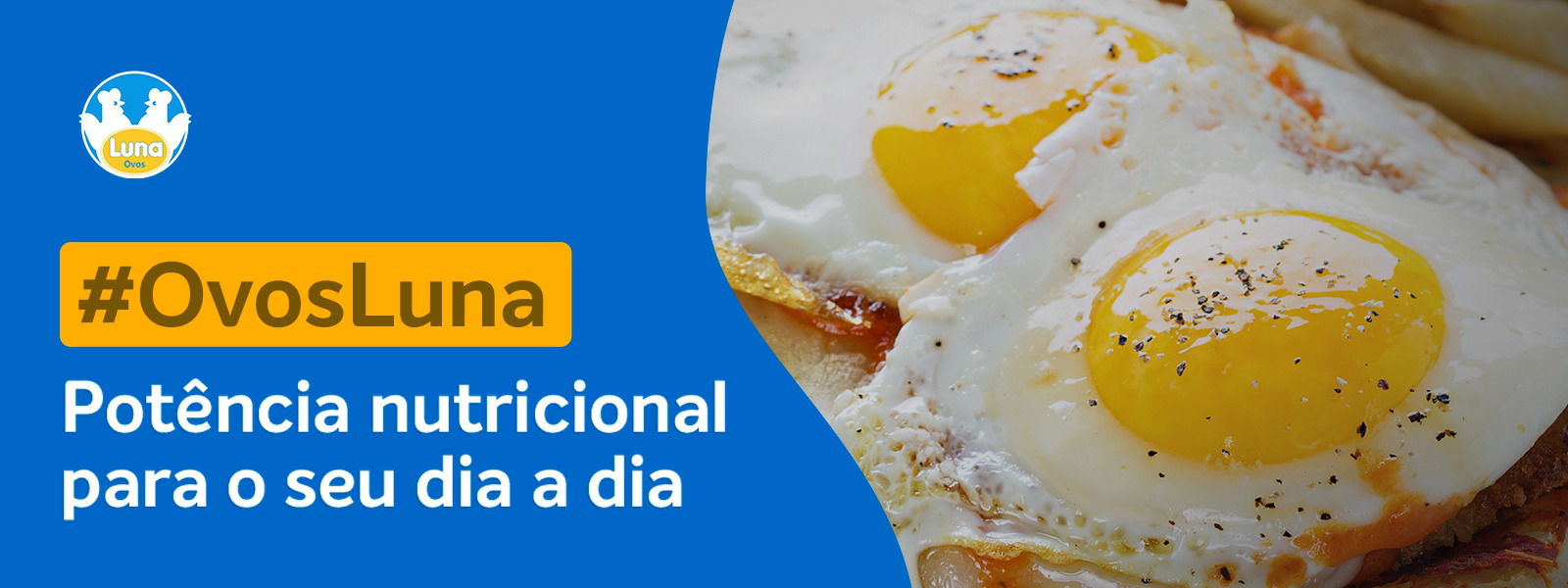 Ovos Luna: Potência Nutricional para seu dia!